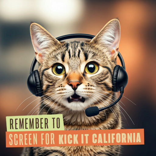 211 Internal Reminder Assets | Feline Friends