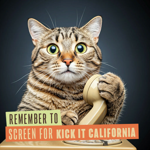 211 Internal Reminder Assets | Feline Friends