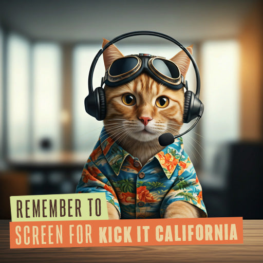 211 Internal Reminder Assets | Feline Friends