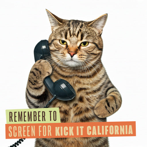 211 Internal Reminder Assets | Feline Friends