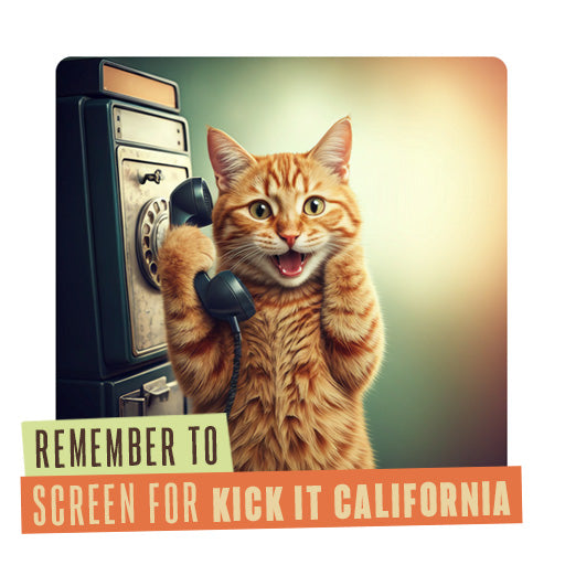 211 Internal Reminder Assets | Feline Friends
