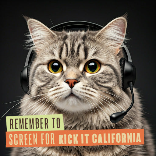 211 Internal Reminder Assets | Feline Friends