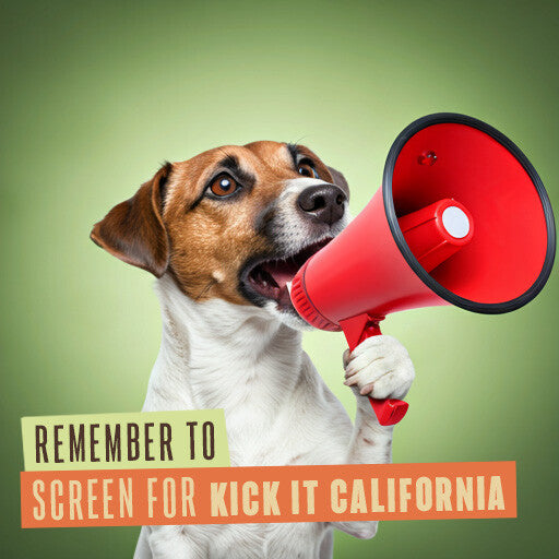 211 Internal Reminder Assets | Dog Friendly