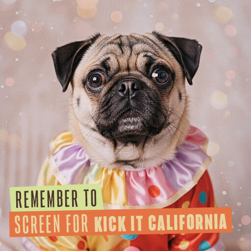 211 Internal Reminder Assets | Dog Friendly