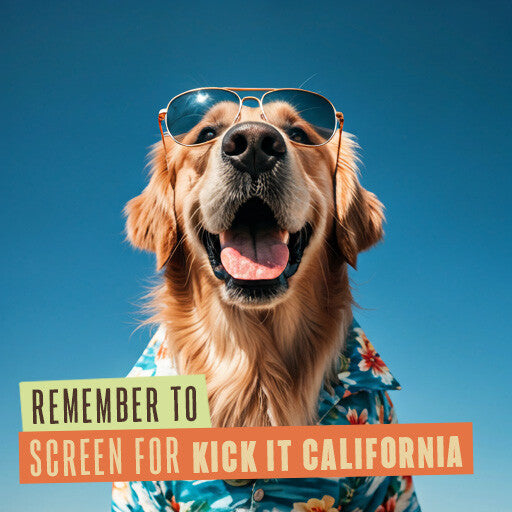 211 Internal Reminder Assets | Dog Friendly