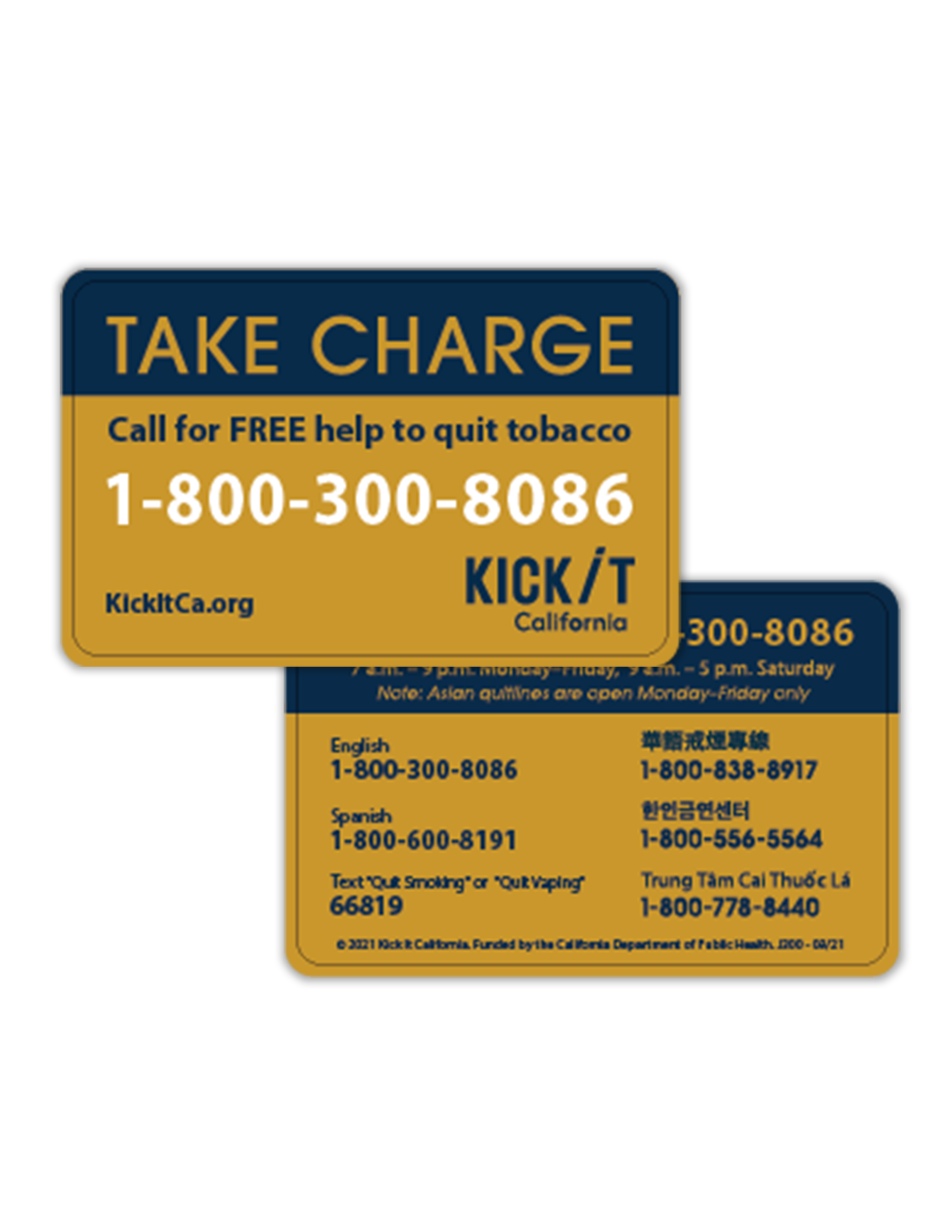 Take Charge Gold Card (Printed)
